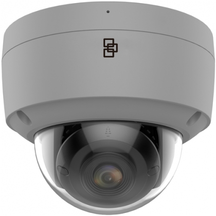 IP Dome IR camera